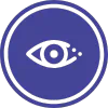Vision Icon Vision Icon
